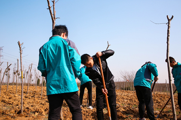 “攜手植樹(shù)，共創(chuàng)藍(lán)天”丨南京新華師生共筑新華育才林