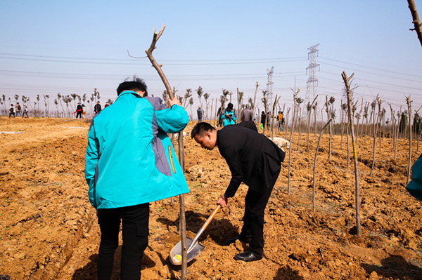 “攜手植樹(shù)，共創(chuàng)藍(lán)天”丨南京新華師生共筑新華育才林