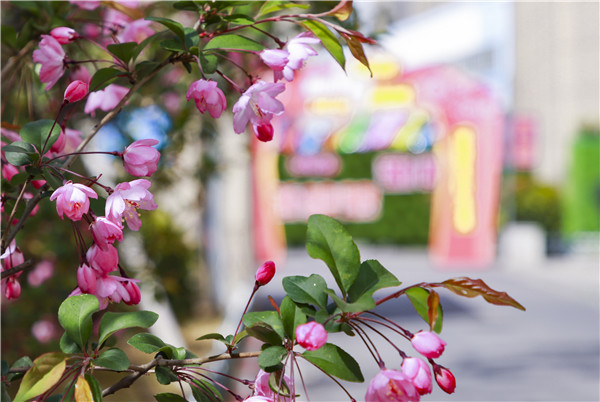 春暖花開，等你歸來——邀你云賞南新春景，以慰思念